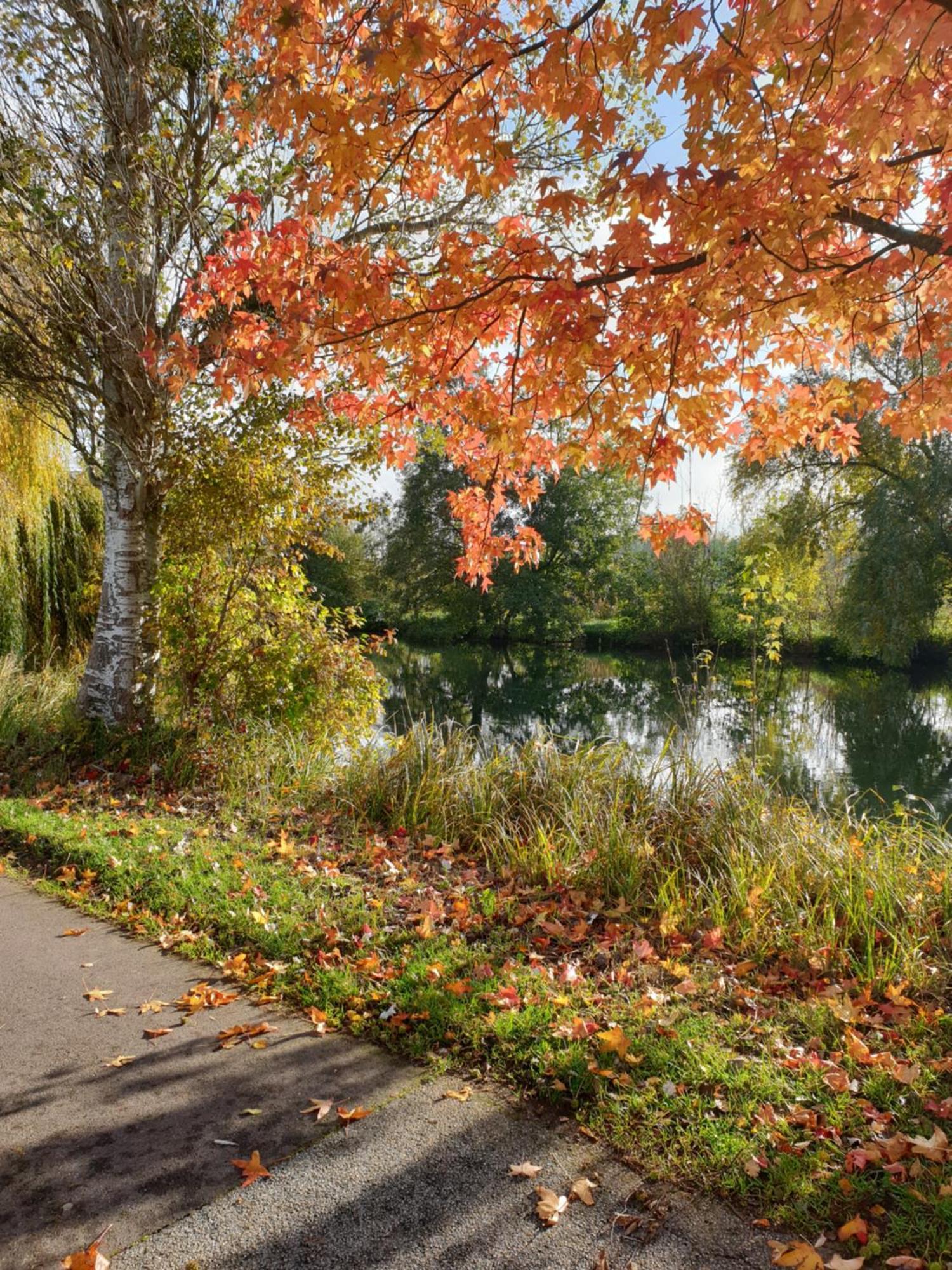 Villa Maison De Charme Avec Jardin Au Bord De L'Eure à Le Vaudreuil Extérieur photo